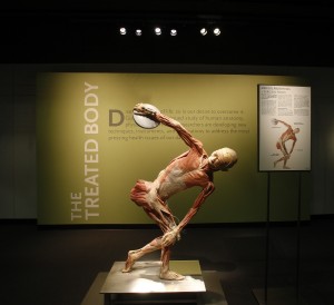 REVIEW – Bodies: The Exhibit | Paleocave Blog