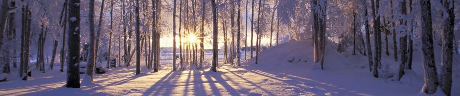It's beginning to look a lot like solstice. It's beginning to look a lot like solstice.