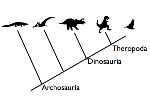 Relationships among archosaurs